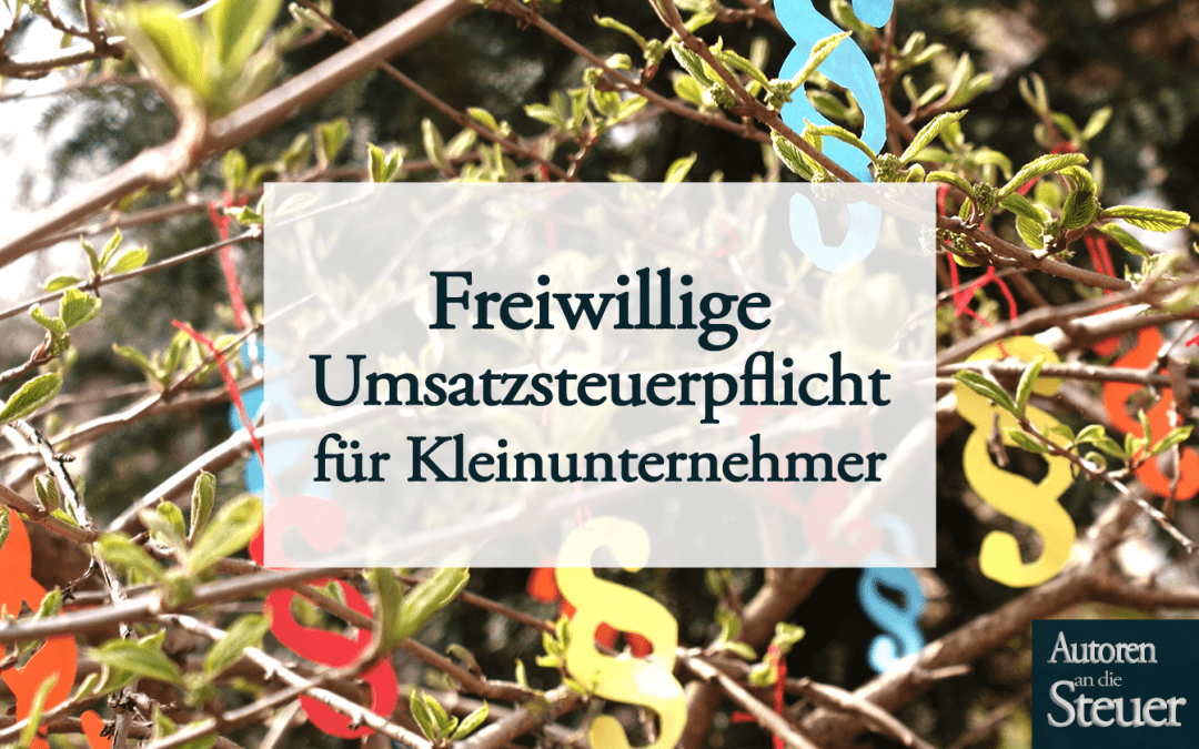 Darum solltest du freiwillig umsatzsteuerpflichtig werden