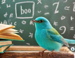Ein Vogel sitzt vor einer Tafel, die Buch-Fachsprache erklärt.