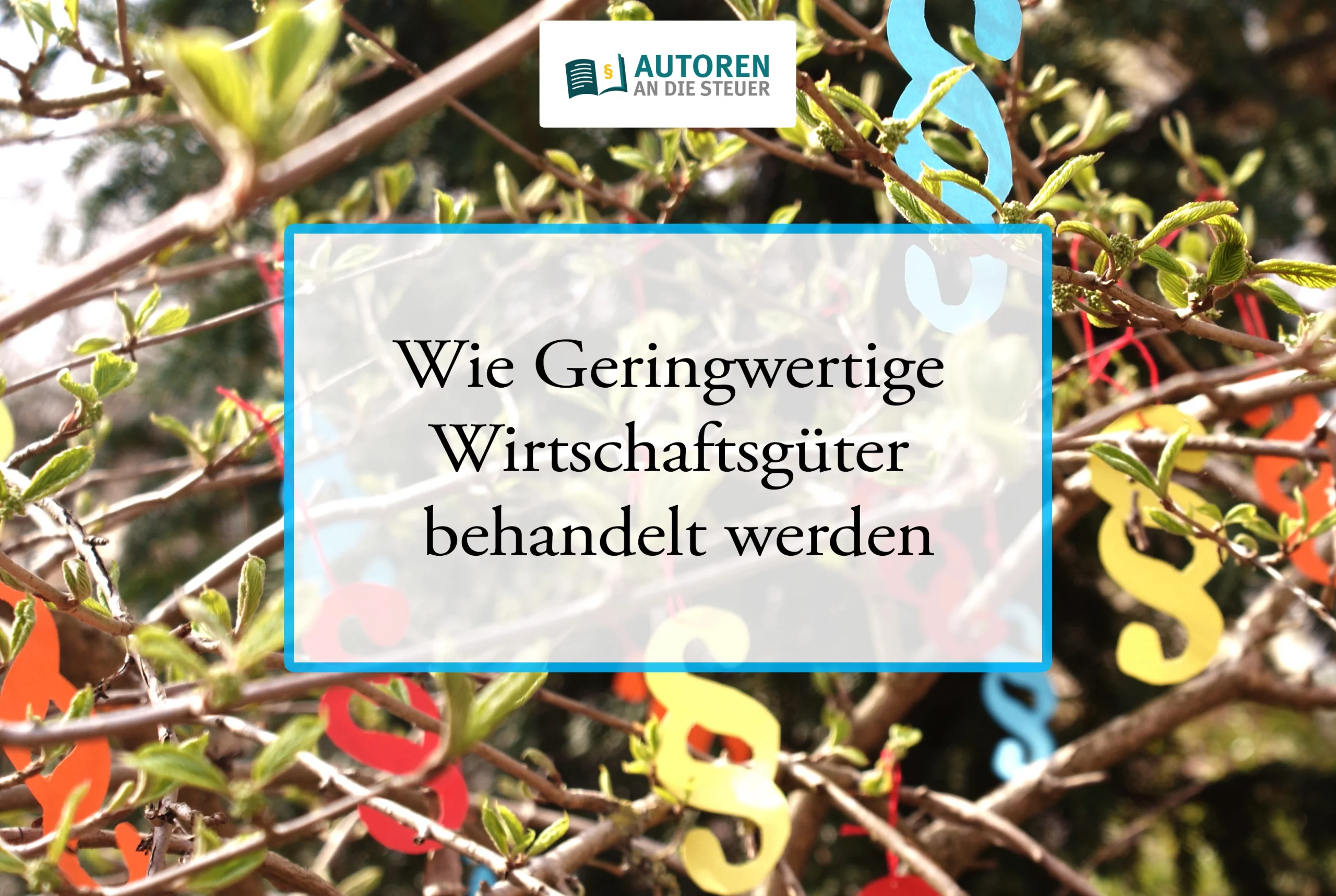 geringwertige-wirtschaftsgueter