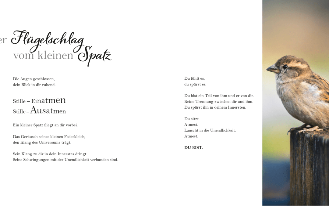 Das passiert, wenn wir 100 % Gestaltungsfreiheit haben