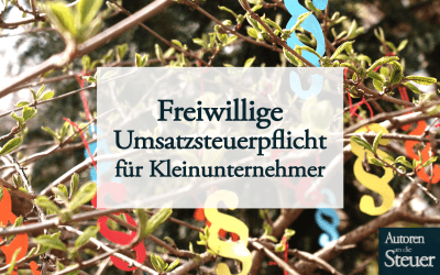 Darum solltest du freiwillig umsatzsteuerpflichtig werden