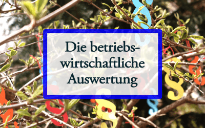 Die Betriebswirtschaftliche Auswertung