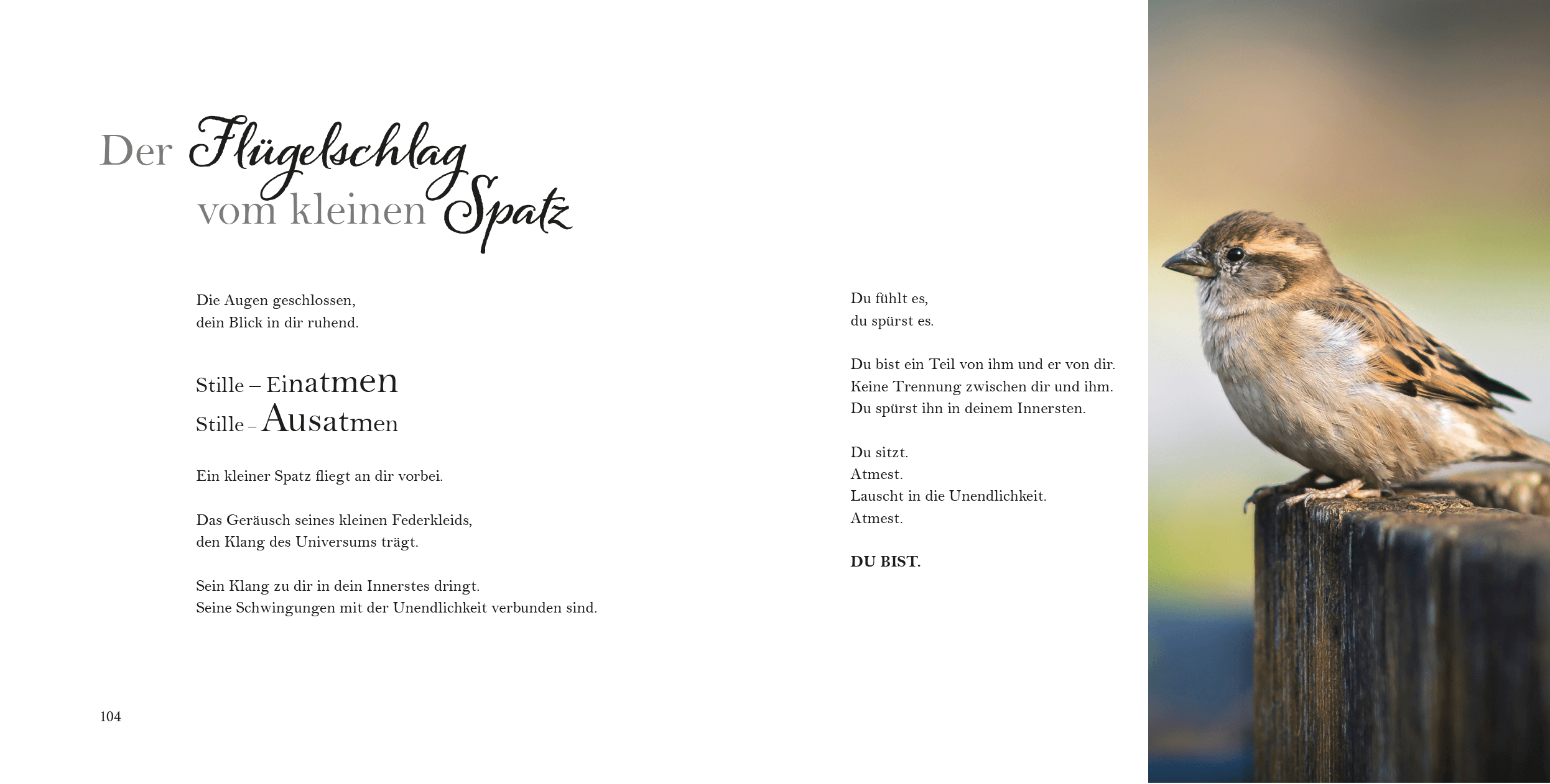 head_caste_study-gisela-jung