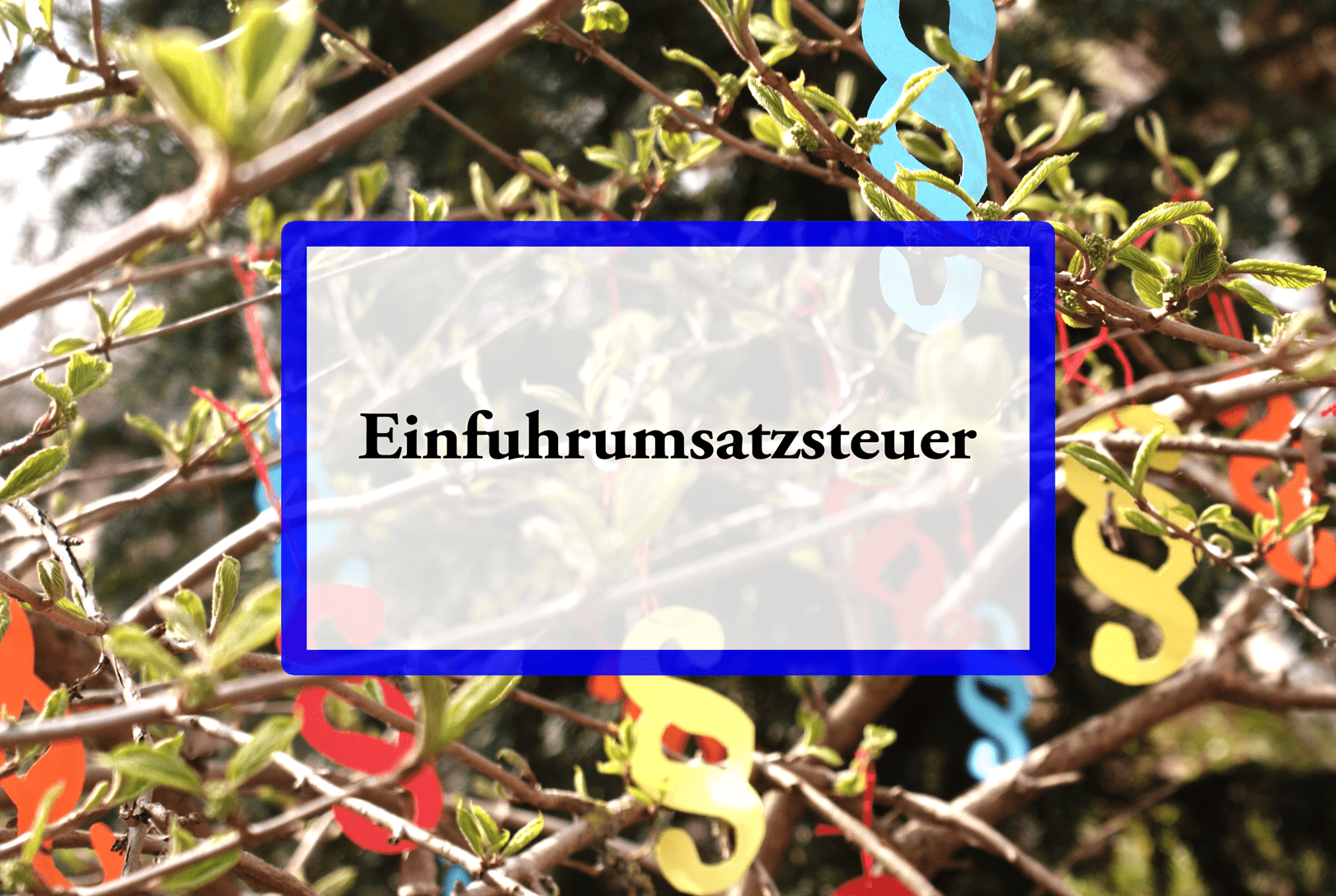 Einfuhrumsatzsteuer steht auf weißem Grund vor einer Ansammlung von Paragraphen-Symbolen im Hintergrund