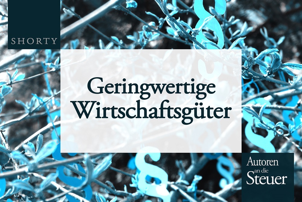 Wie Geringwertige Wirtschaftsgüter behandelt werden