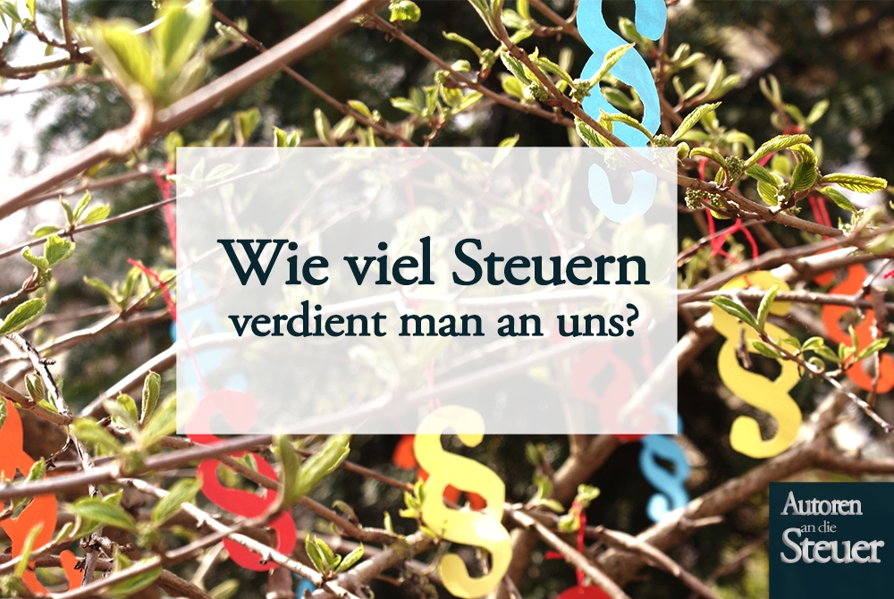Steuereinnahmen 2017: Wie viel Steuern verdient man an uns?