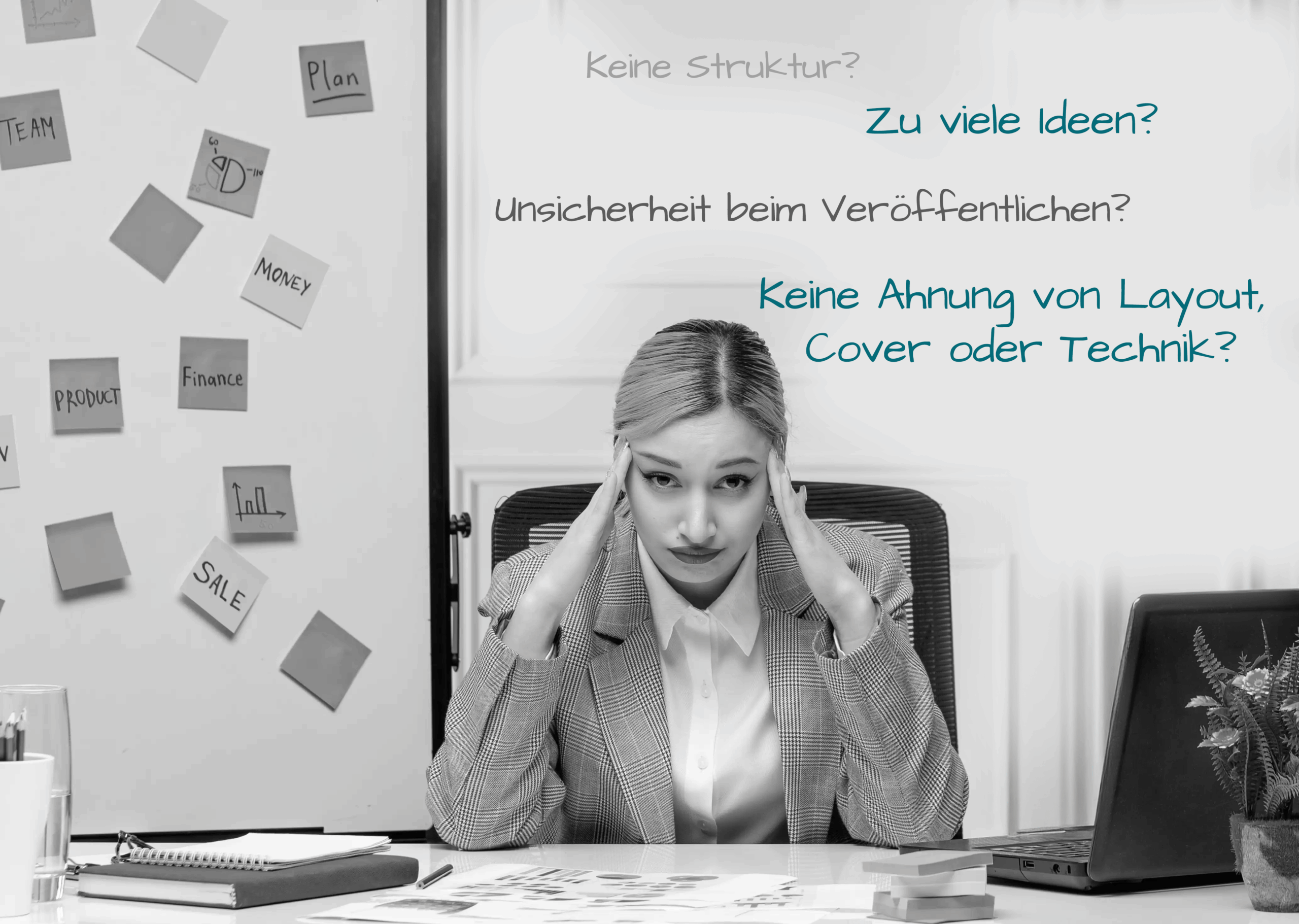 Veröffentlichtes Buch mit Bestseller-Rang auf Amazon