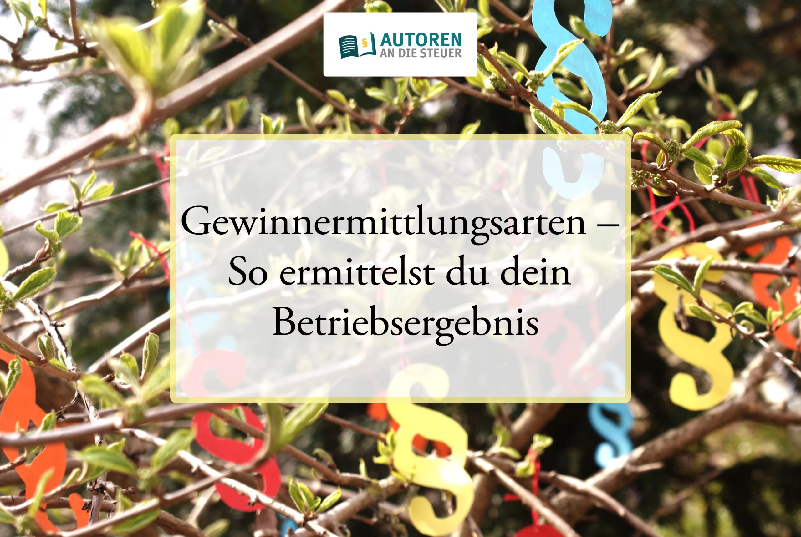 gewinnermittlungsarten