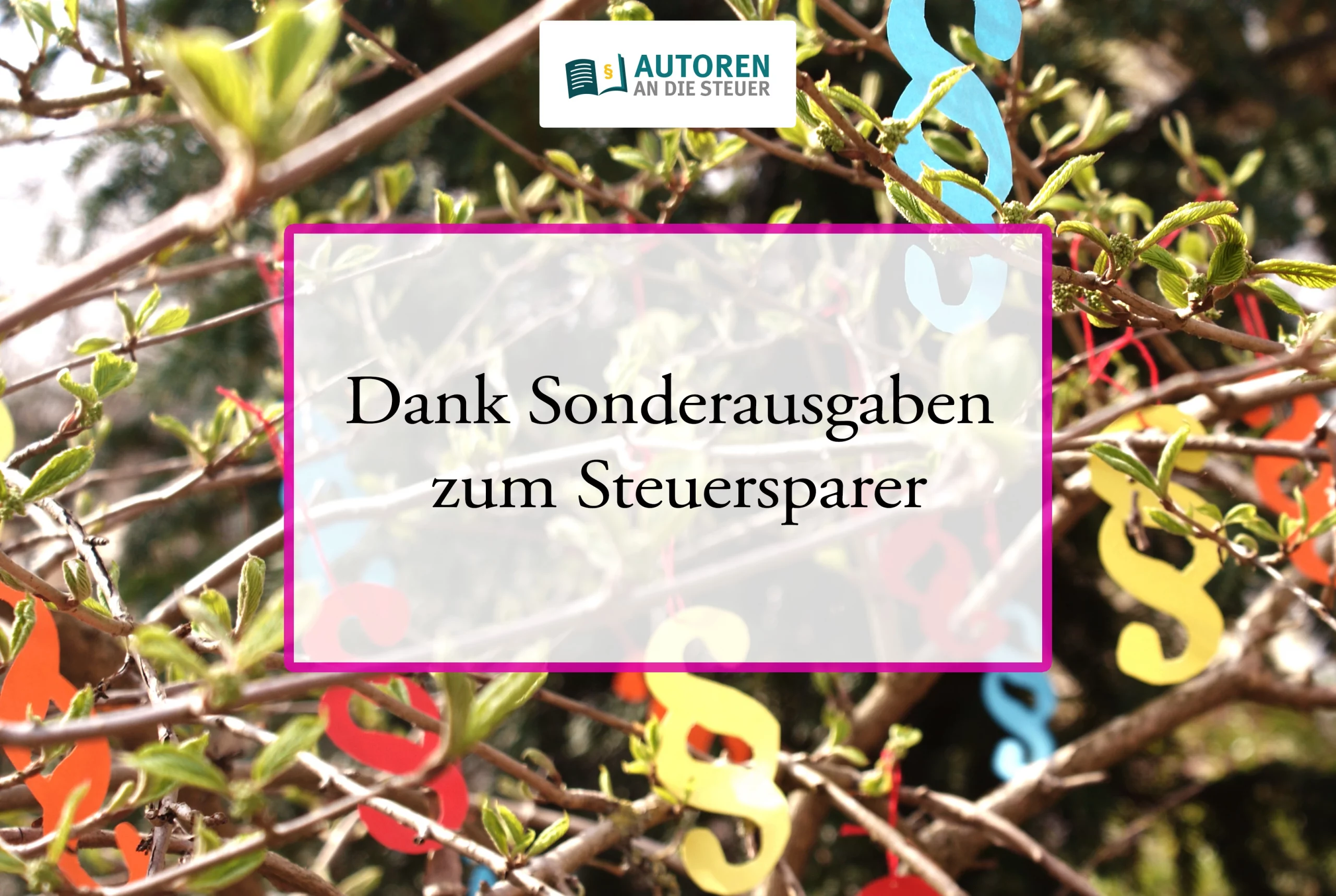 sonderausgaben