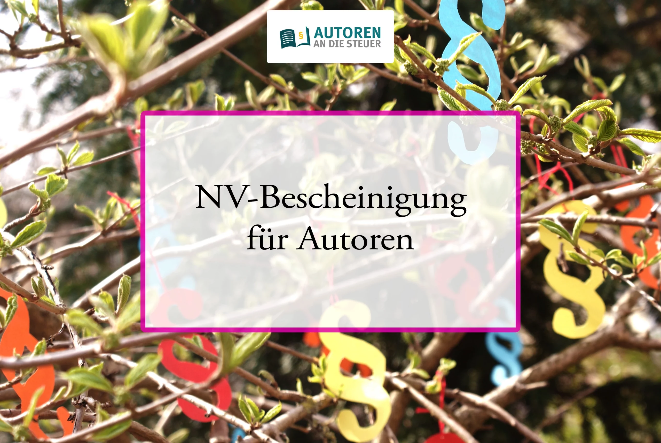 nv-bescheinigung