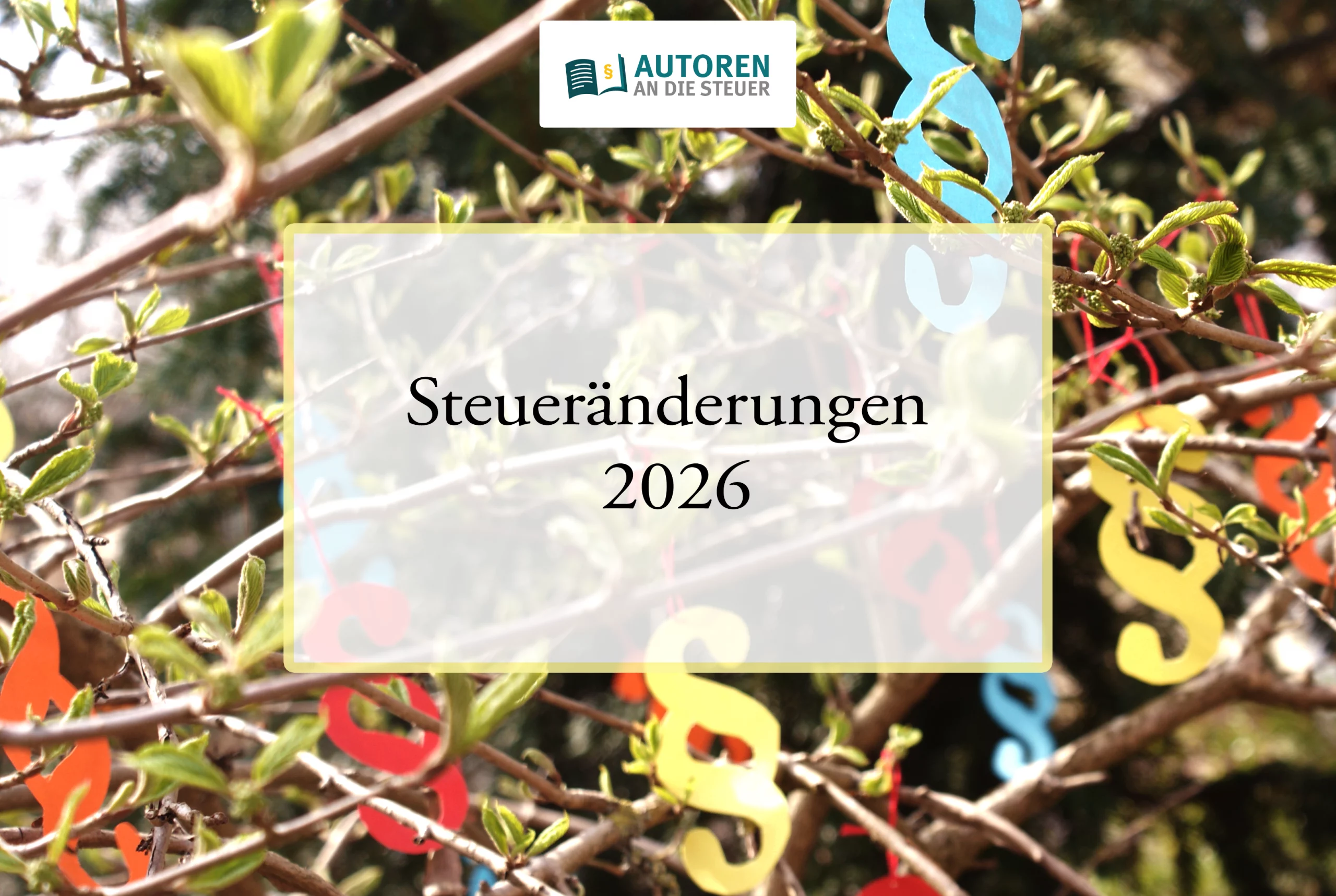 steueraenderungen-2026